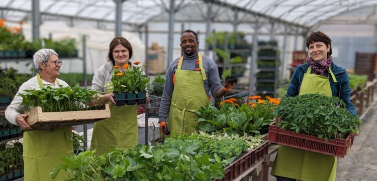 La vente de plants bio